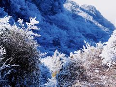 -梵净山旅游区