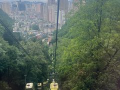 -黔灵山公园
