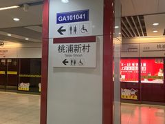 -桃浦新村(地铁站)