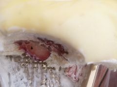 -洪小凡(钱塘明月店)