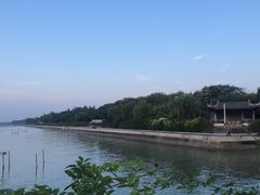 -贡湖湾湿地公园