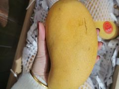 -南京众彩农副产品配送有限公司