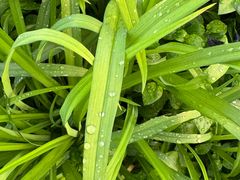 -九里河湿地公园