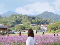 -红山村