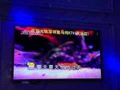 -皇马纯KTV·量贩·聚会(民治店)