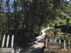 -白河湾生态旅游一条川