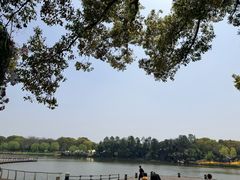 -上海鲜花港
