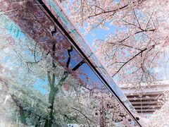 -南浦大桥长途旅游客运站