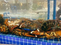 -半岛听涛蒸汽海鲜自助(K11店)