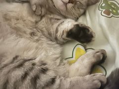 -大桶大足浴(南翔店)