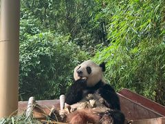 -广州长隆欢乐世界