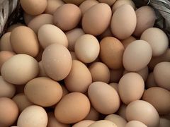 -马陆小张葡萄园农家乐