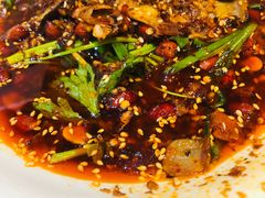 -红辣椒·川菜·火锅(张杨路店)