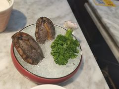 鲜鲍鱼-澳美徕·港式花胶鸡火锅(高新万达店)