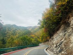 -云顶山风景区