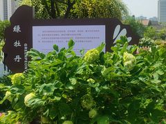-曹州百花园