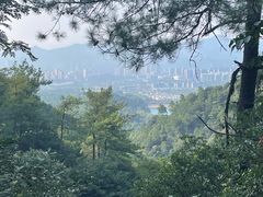 -大奇山国家森林公园