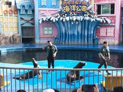 -华夏文旅海洋公园