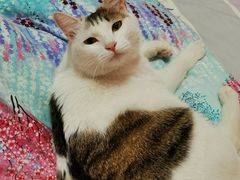 -西宁福茵长乐国际大酒店