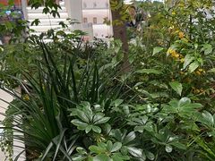 -大树餐厅(红旗街万达店)