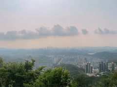 -梧桐山风景名胜区