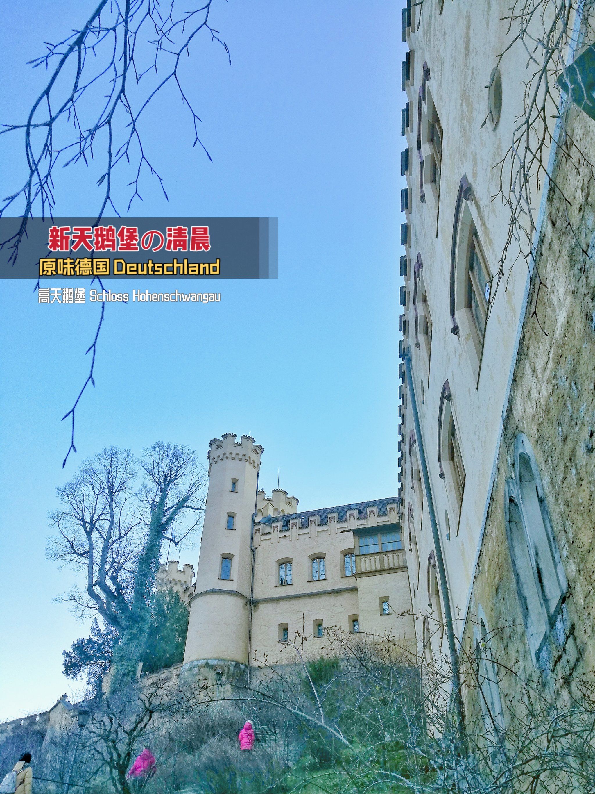 迪士尼童话城堡的原型98德国新天鹅堡97