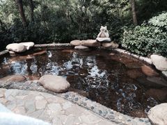 iphone_upload_pic-天目湖涵田度假村