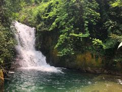 -羚羊峡古栈道森林公园