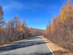 -莫尔道嘎国家森林公园