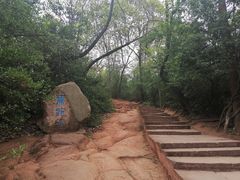 -老君山