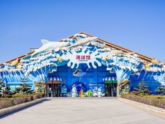 -石家庄极地海洋世界