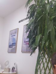 -天津伊美尔医疗整形美容专科医院