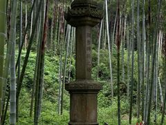 -东明山森林公园