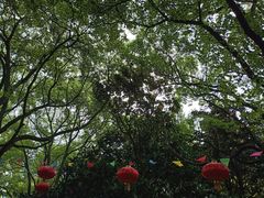 -瀛洲公园