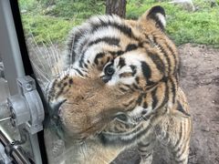 -西安秦岭野生动物园