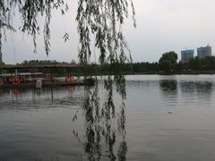 游乐设施-滨湖塘西河公园