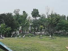 -桂溪生态公园