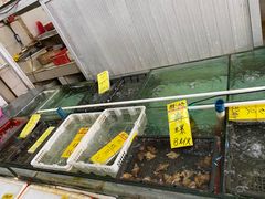 水产区-鸿达渔港
