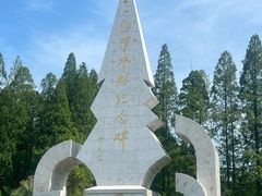 -水杉园