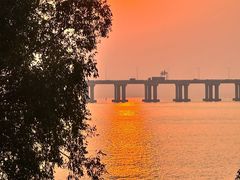 -宝安西湾红树林湿地公园