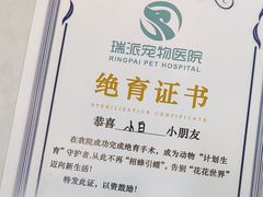-瑞派紫金宠物医院24小时·骨科·中兽医·重症转诊中心(番禺大石院)