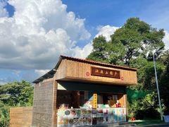 -黄埔油麻山森林公园