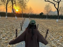 -汉长安城未央宫国家考古遗址公园