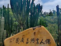 -深圳仙湖植物园