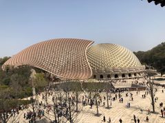 -牛首山文化旅游区