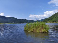 -腾冲北海湿地
