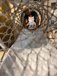 -鲁比猴非洲探索部落(喜盈门店)