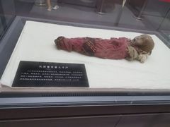 -巴音郭楞蒙古自治州博物馆