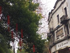 -南宋御街