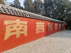 -浮来山风景区